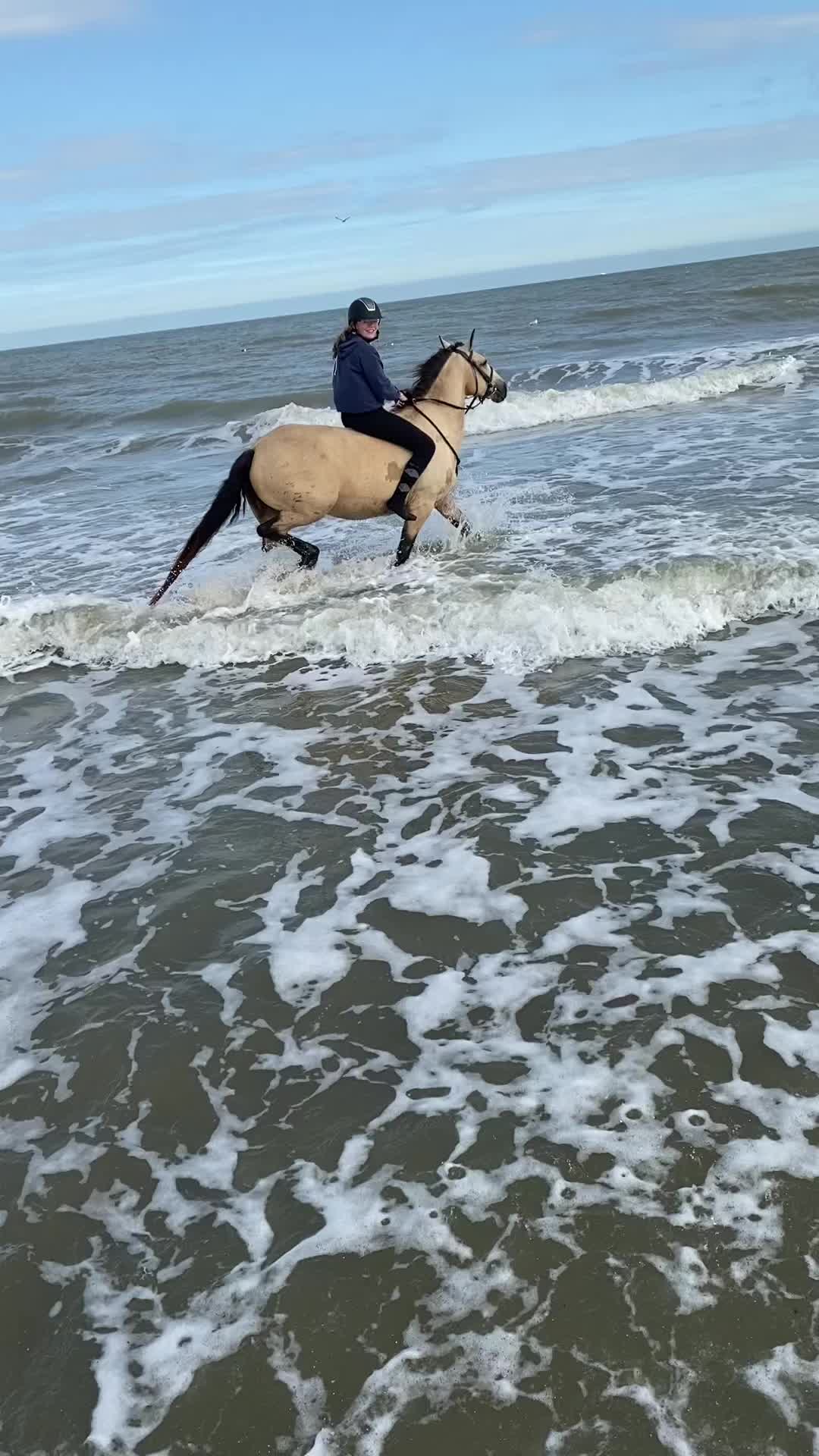 @𝓪𝓷𝓪𝓮𝓵𝓵𝓮
