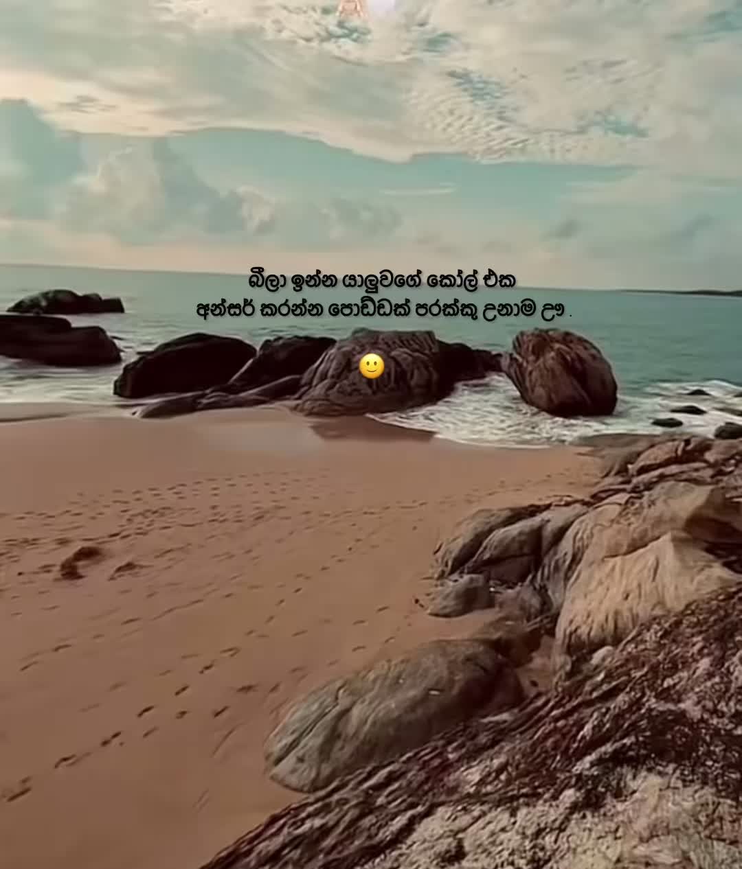 @вloѕѕoм 🤍