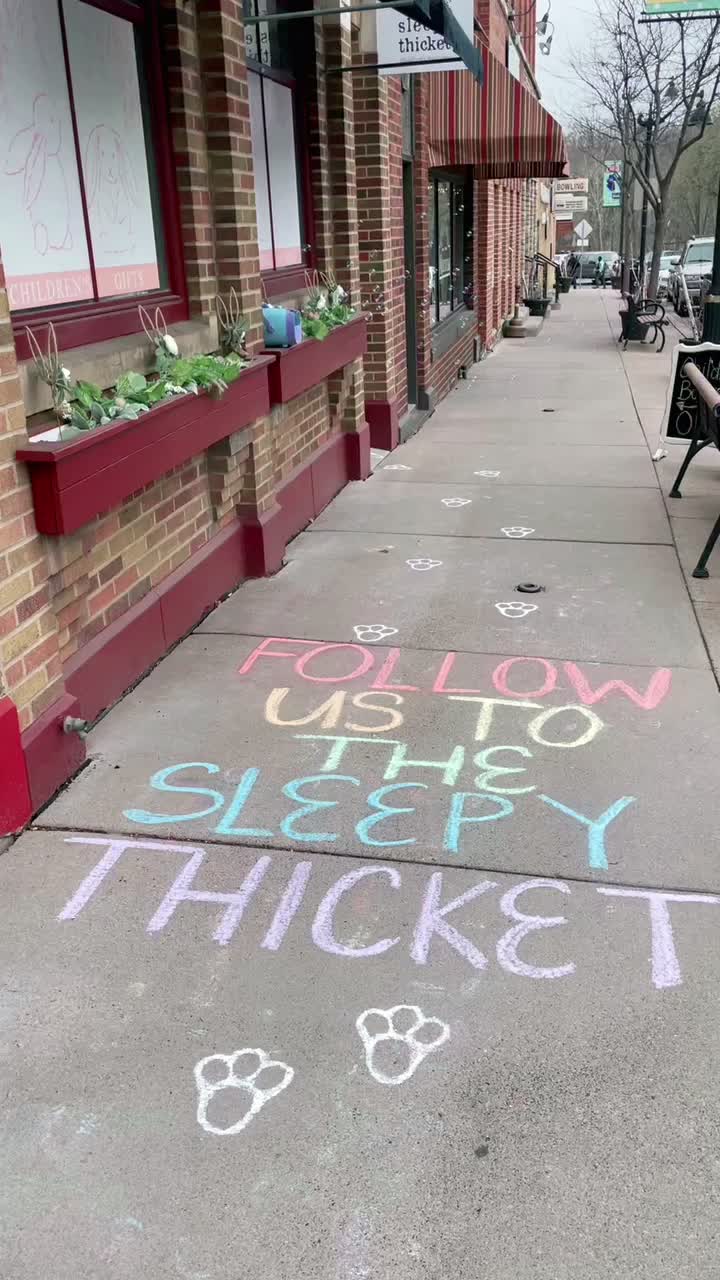 @Sleepy Thicket