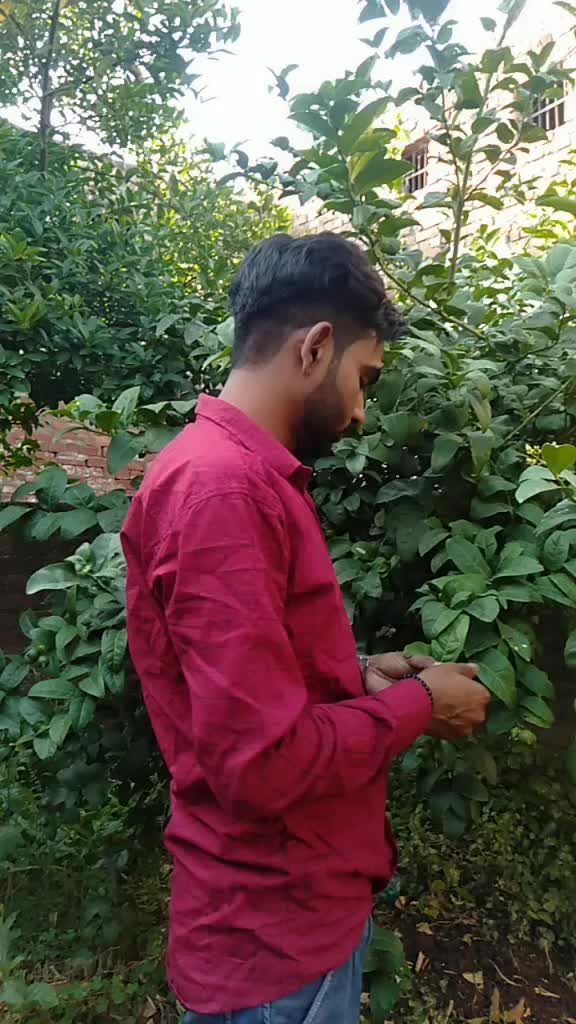 @Shubham Kalyan