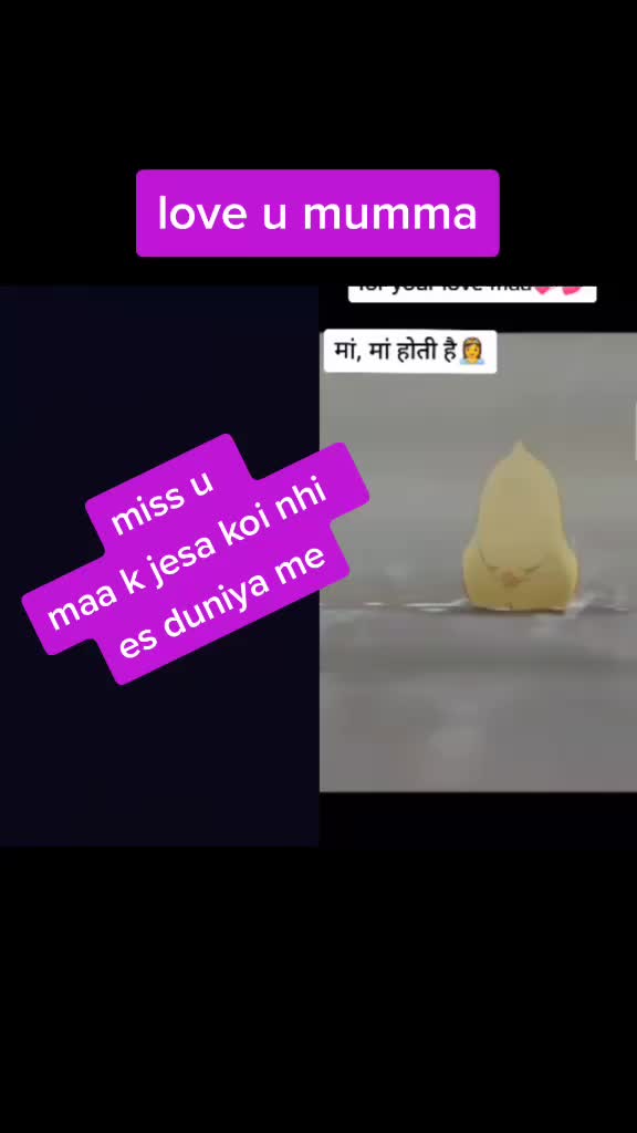 @Sunaina Rajpurohit
