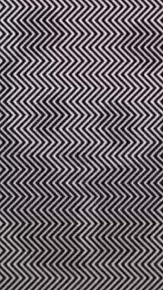 @๐B.w 08๐