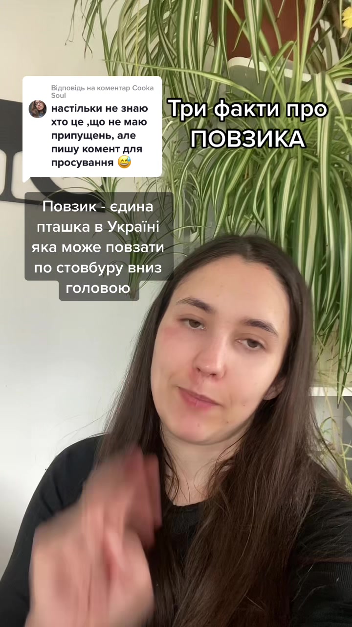 @Птахи, бьордвочинг, орнітолог