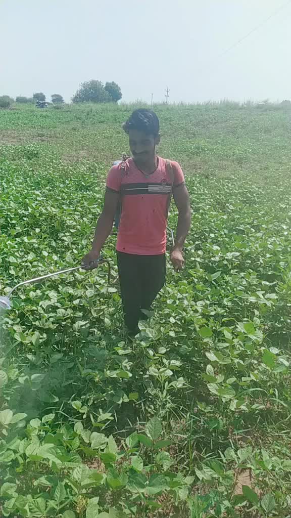@user52970610659