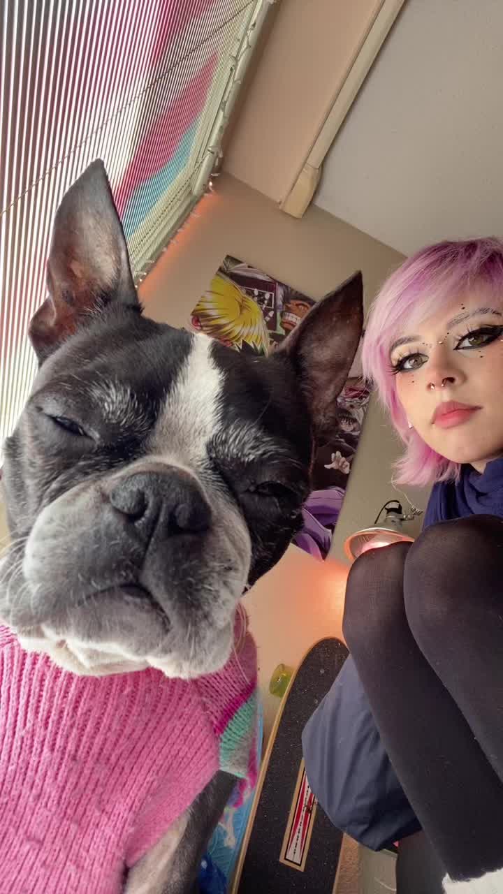 @Green_eggs_and_sam