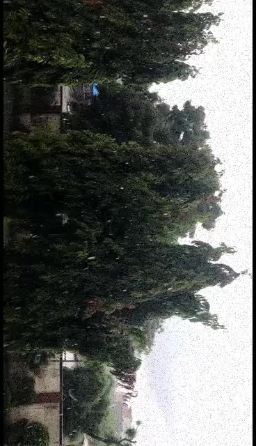 @Mansi Sojitra
