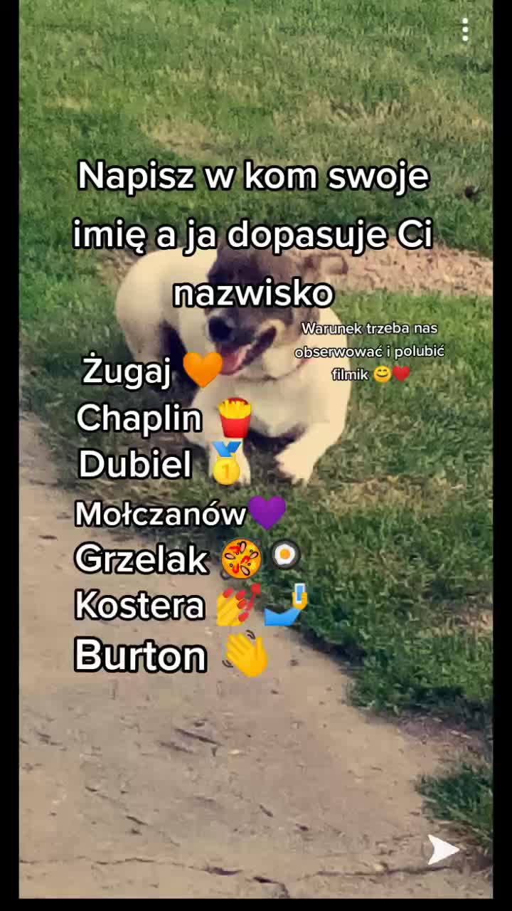 @❣️Reksio❣️