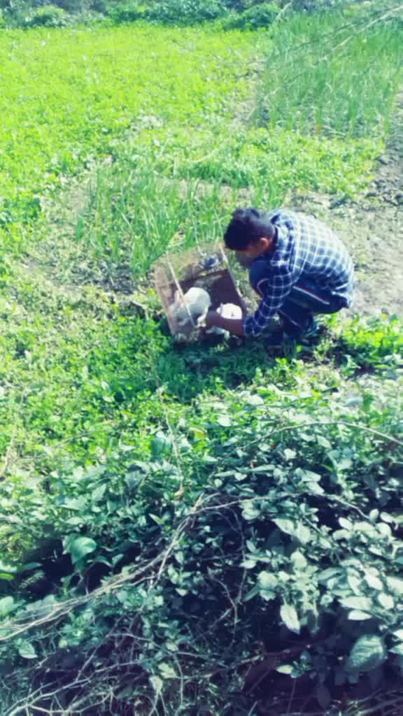@user Manoj Rana 878