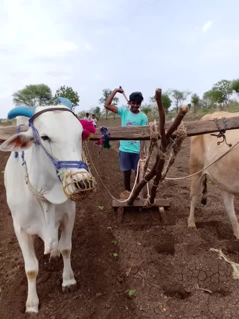 @beerappa