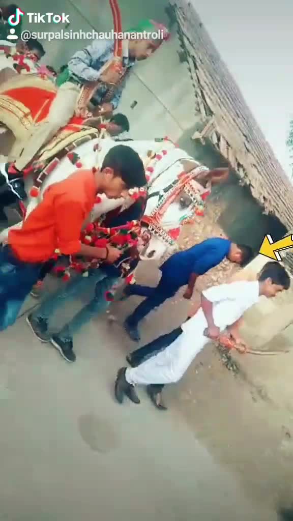 @Surpalsinh Chauhan ni moj
