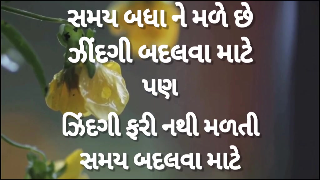 @Saiyed Asif