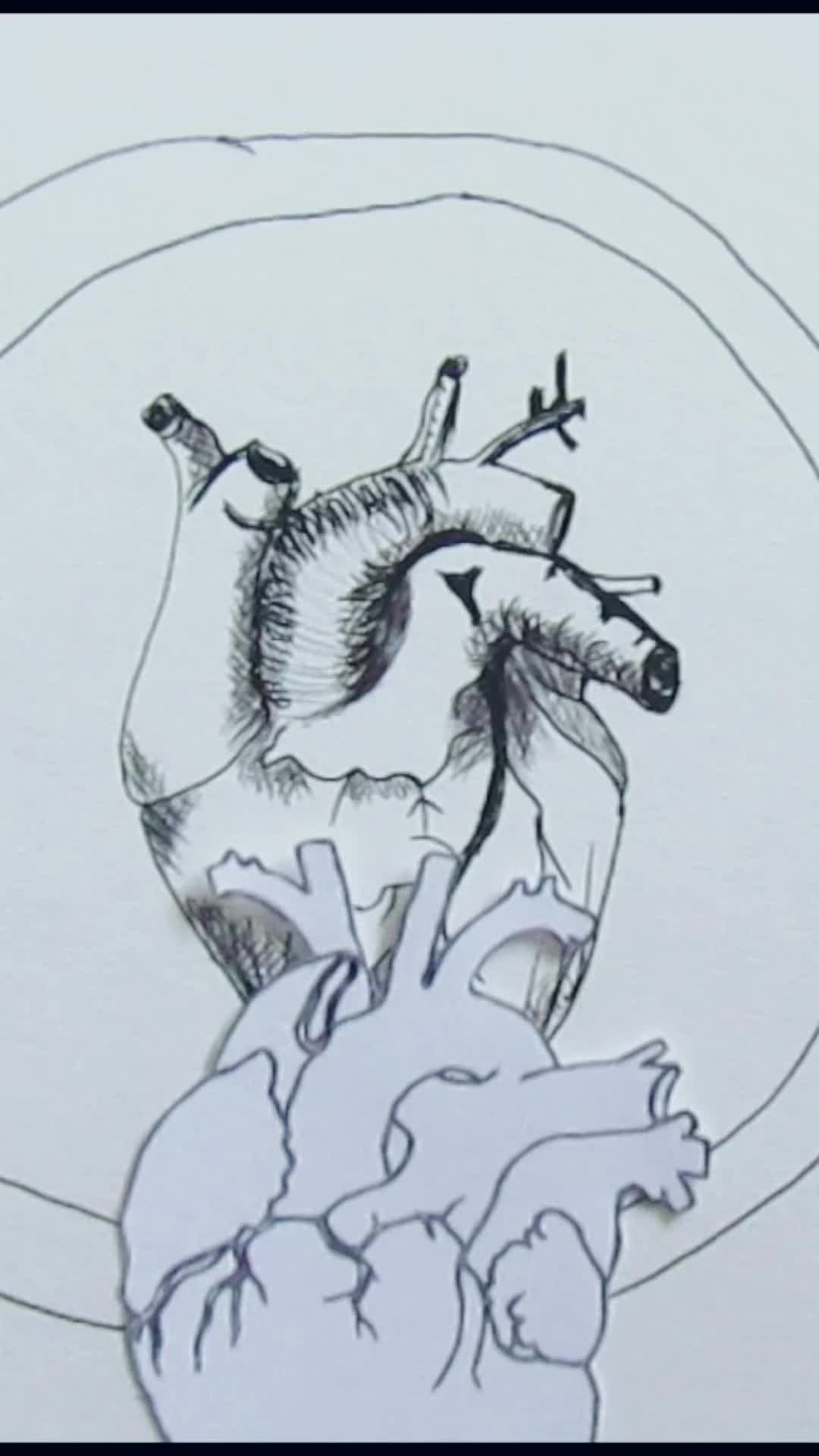 @Liminal Vile