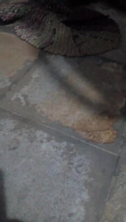 @CHINTU MUDHIRAJ