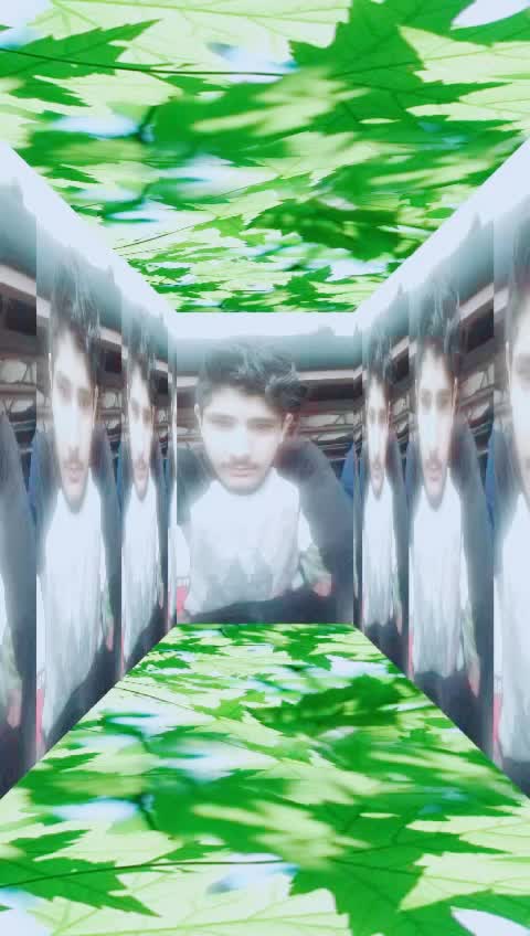 @Nawazish Jutt pk3333
