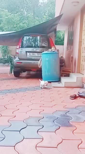 @vaisakh