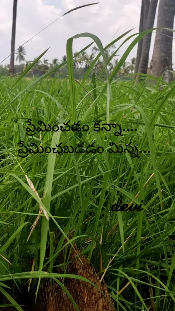 @Devi priyanka