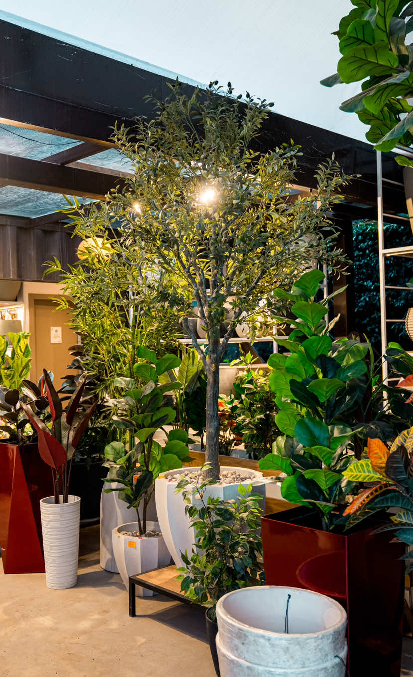 @Macetare Garden Shop Ecuador
