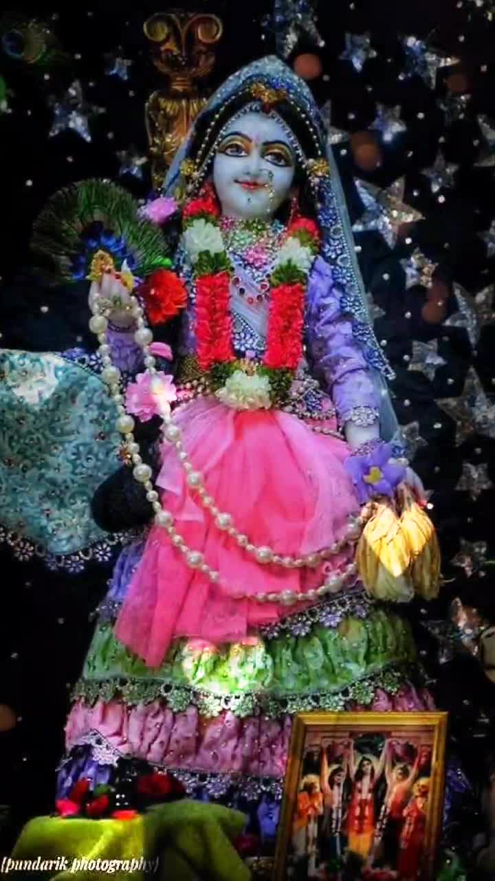 @Sonia Chauhan