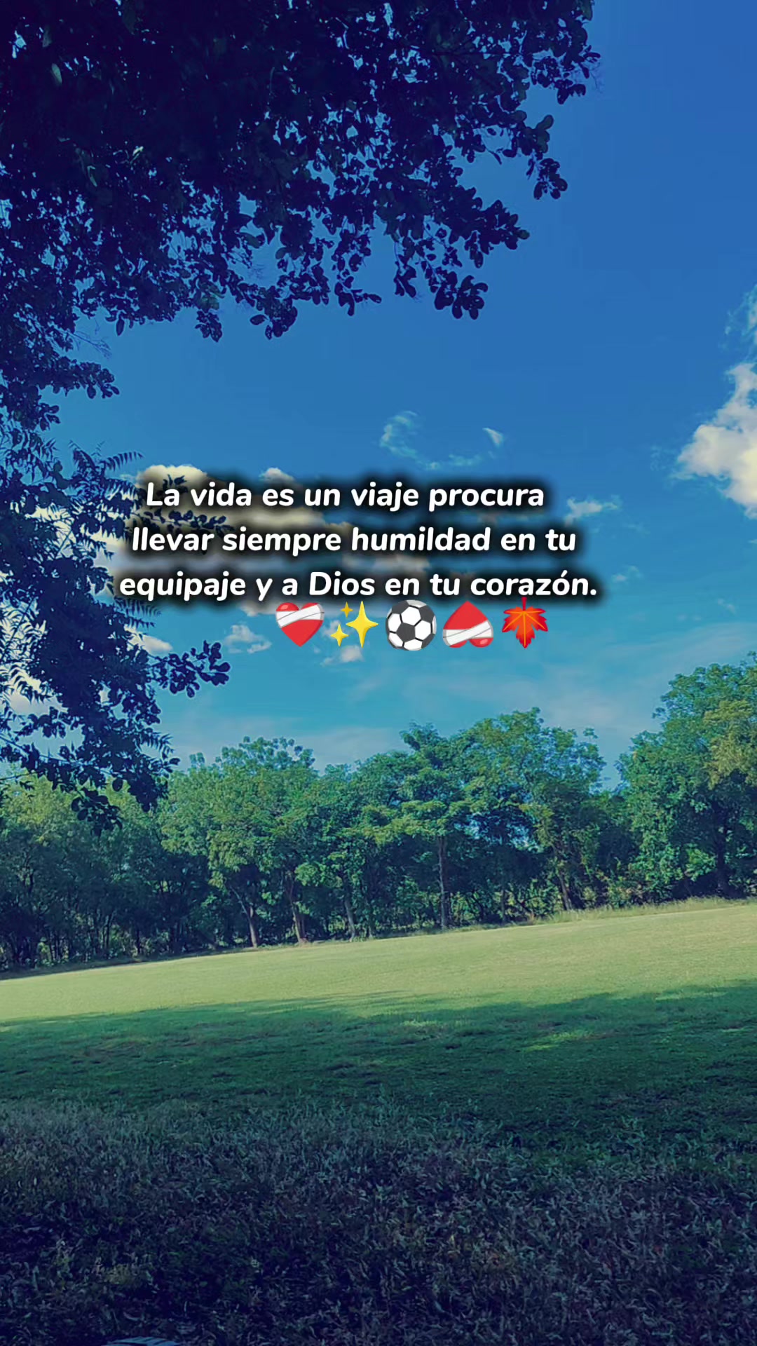 @Mario Salmerón