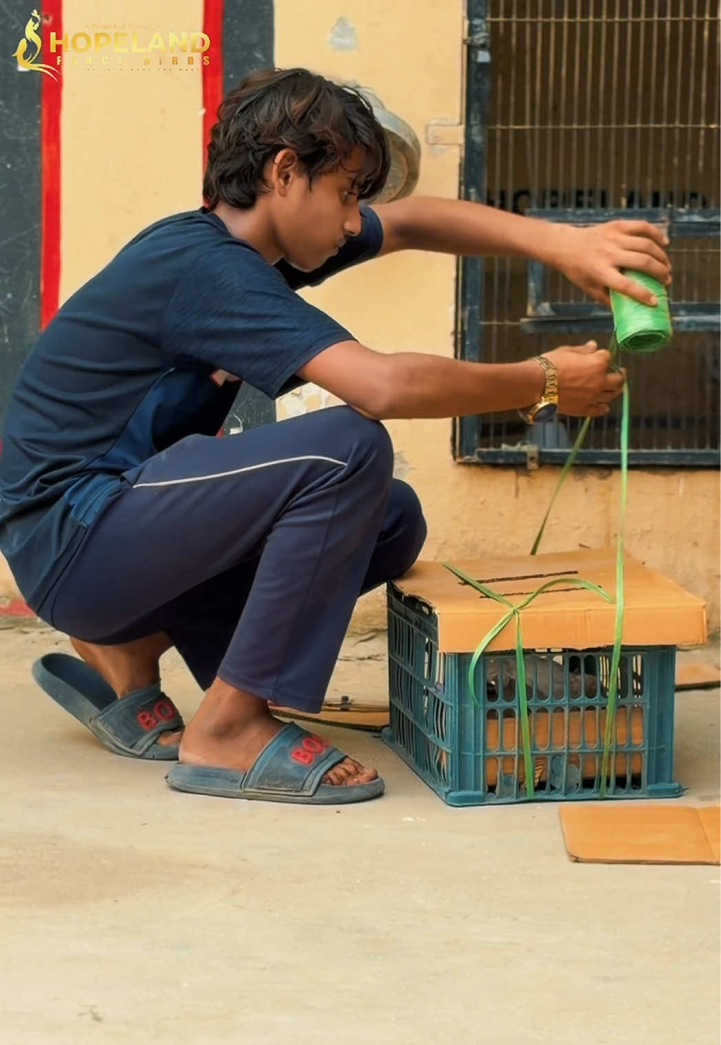 @Hopeland Parrotbeak