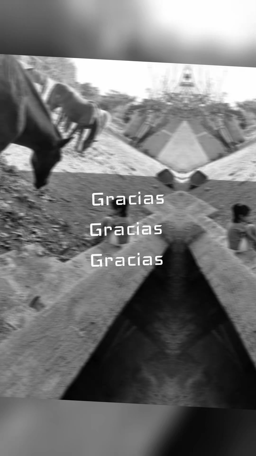 @luana fayne Castilla