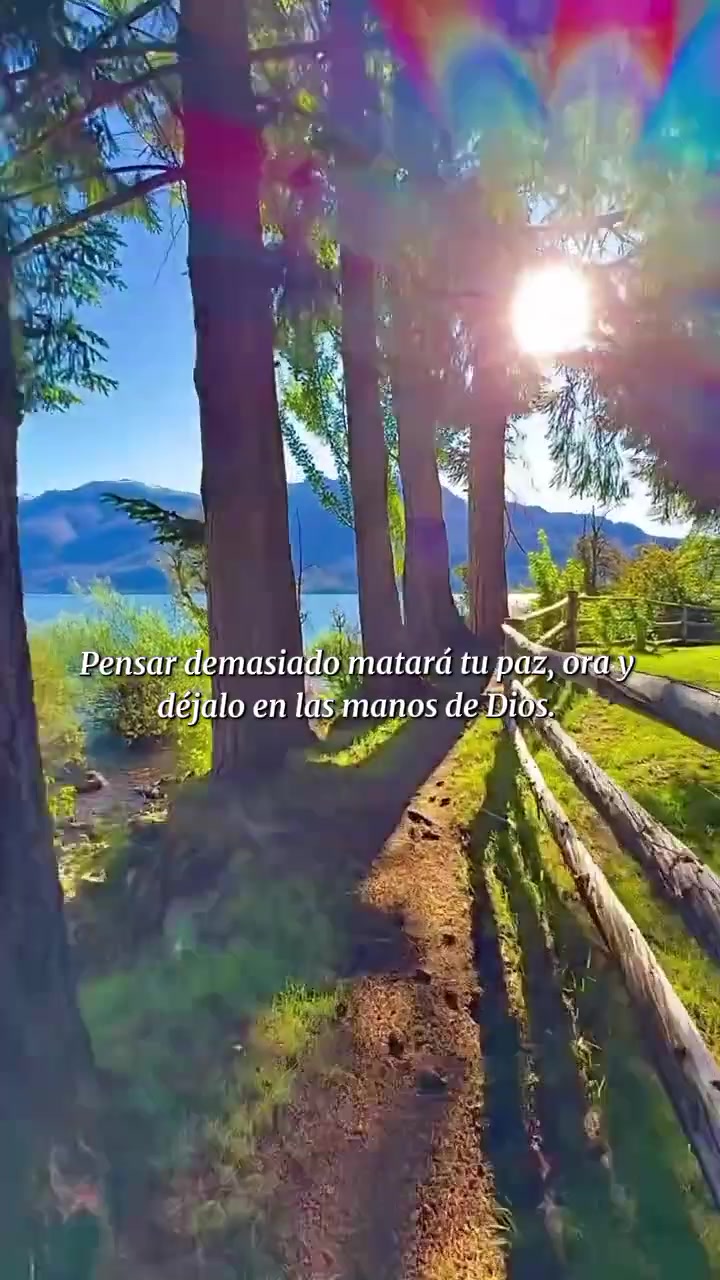@Geemely🩷