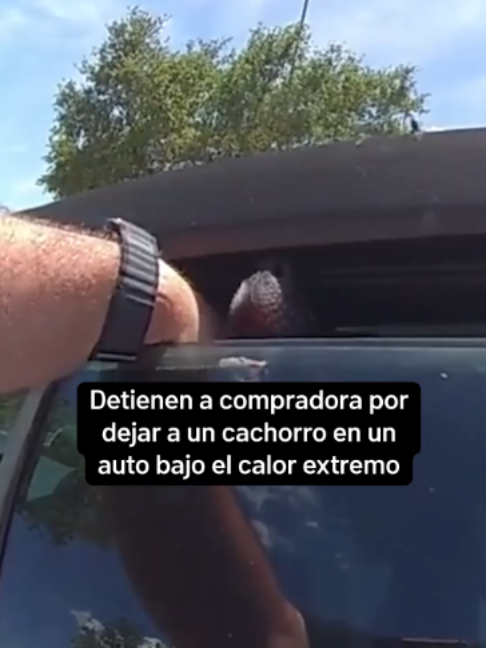@TelemundoSacramento