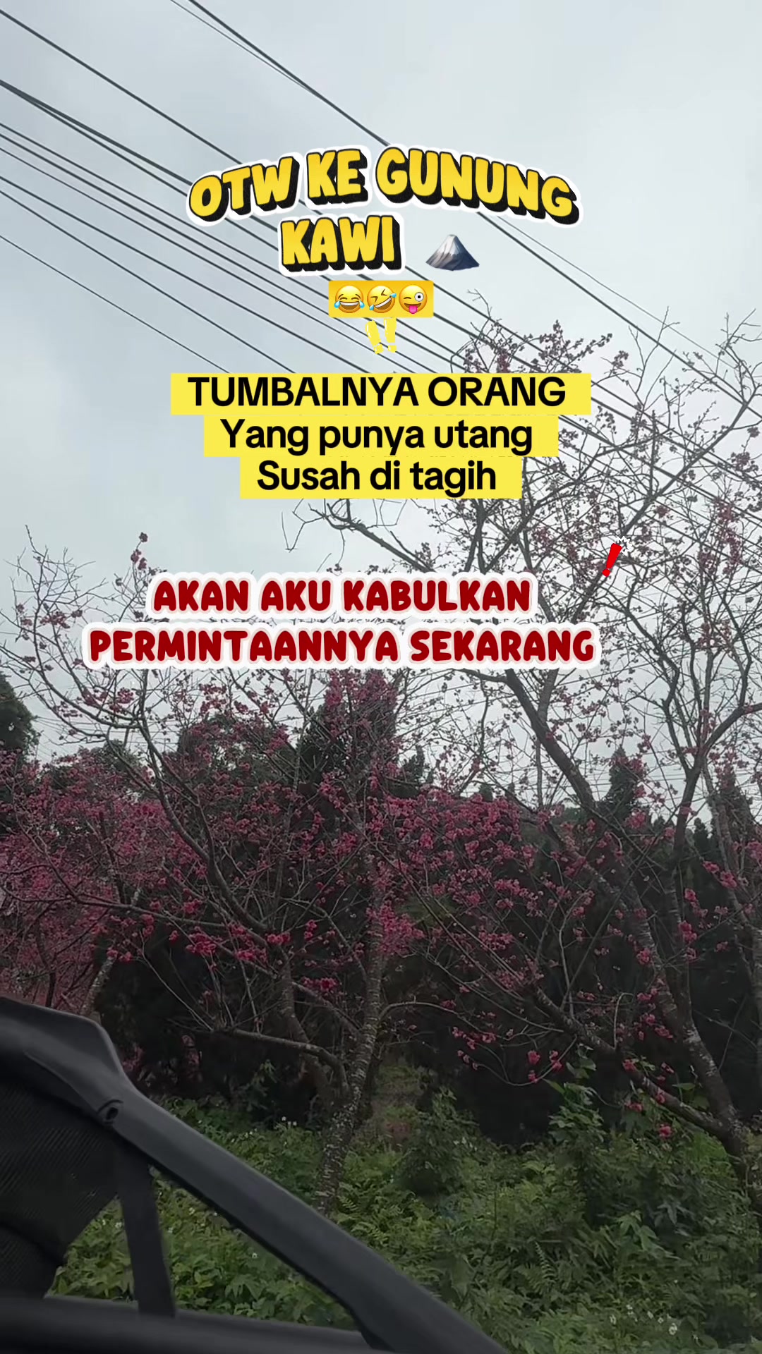 @🥰Tuti Haryati 👩&zwj;🌾🦚