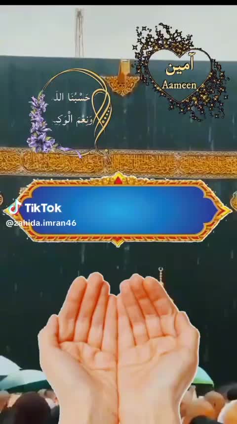 @mnaeem85475