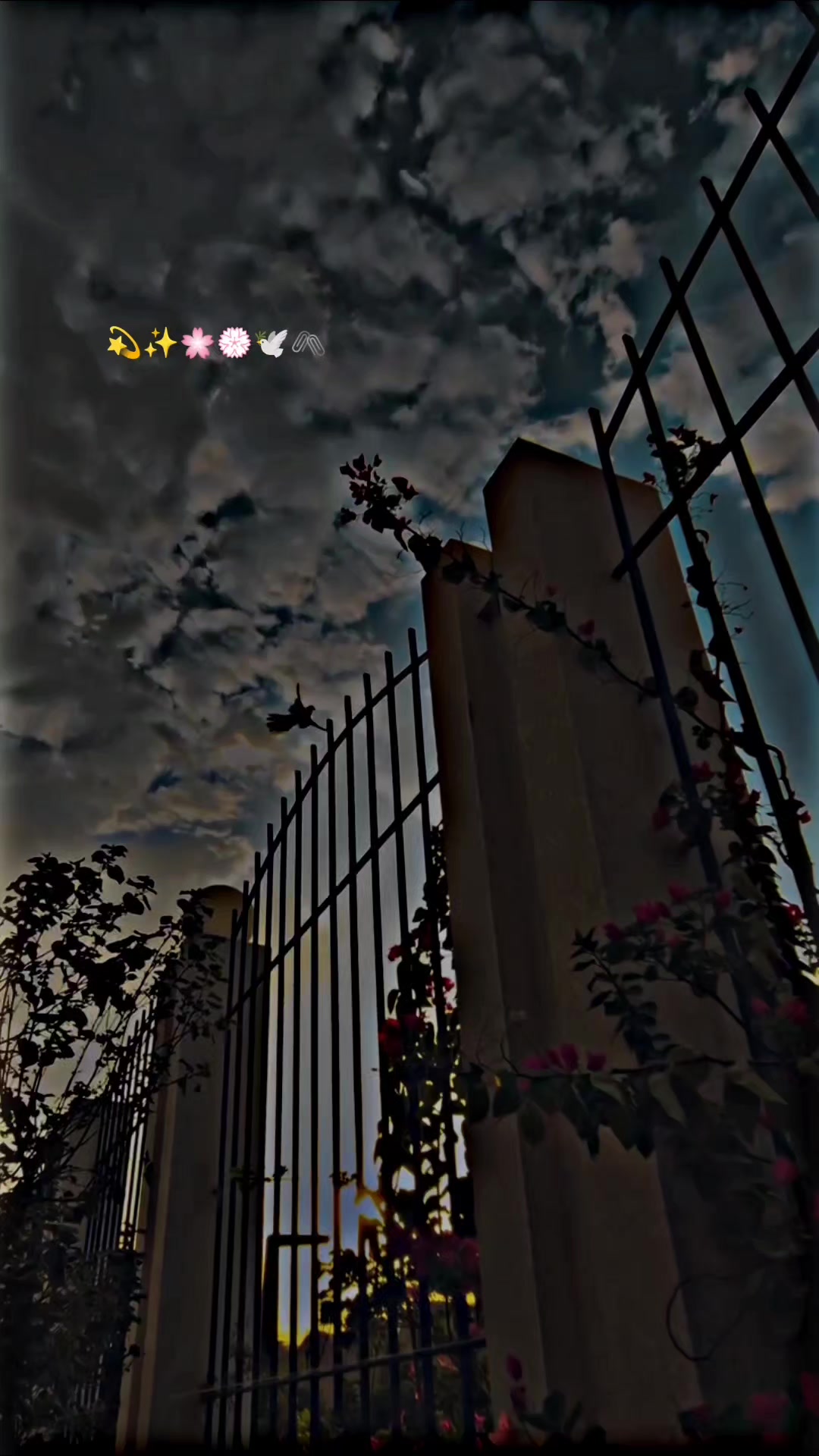 @👉Moosa👈