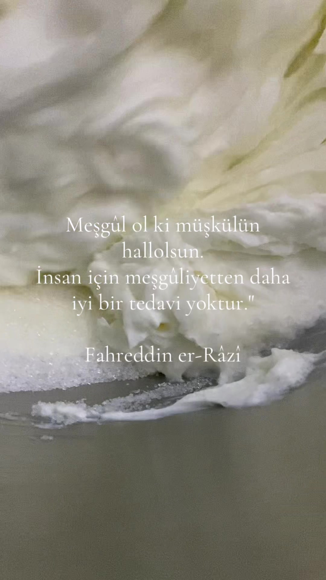 @Ali S'&ouml;yler