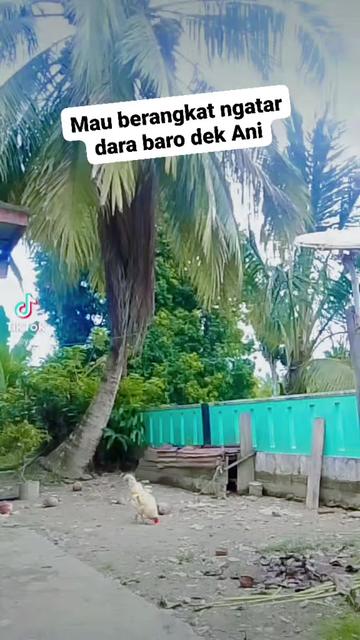 @💫Kak Yetti💫