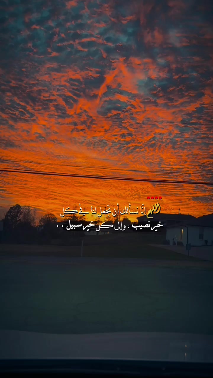 @عـُـلا عــامــر🪽🤎