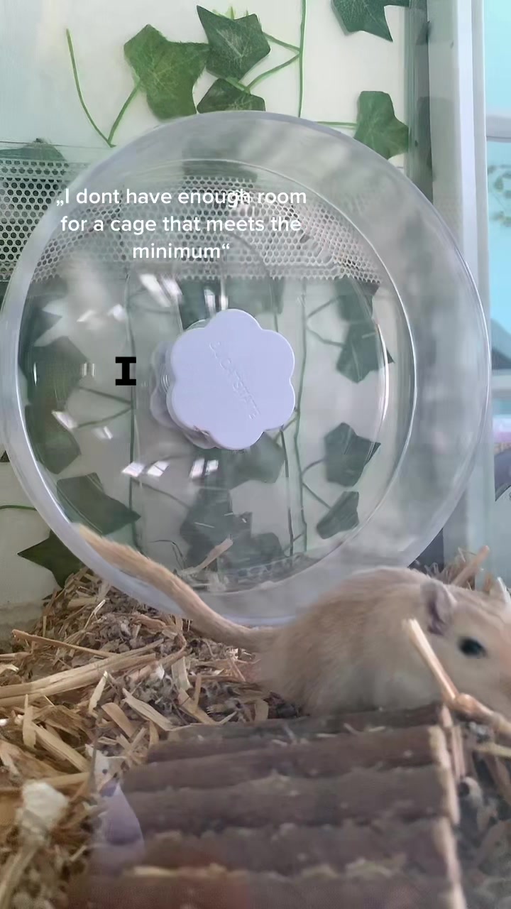 @gerbils