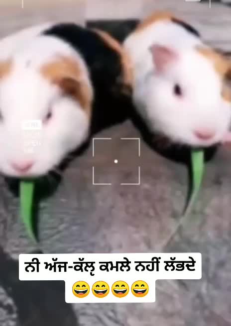 @Roop batth