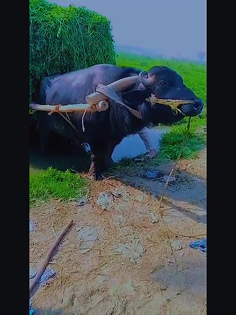 @𝓵𝓸𝓿𝓮𝓵𝔂⛎