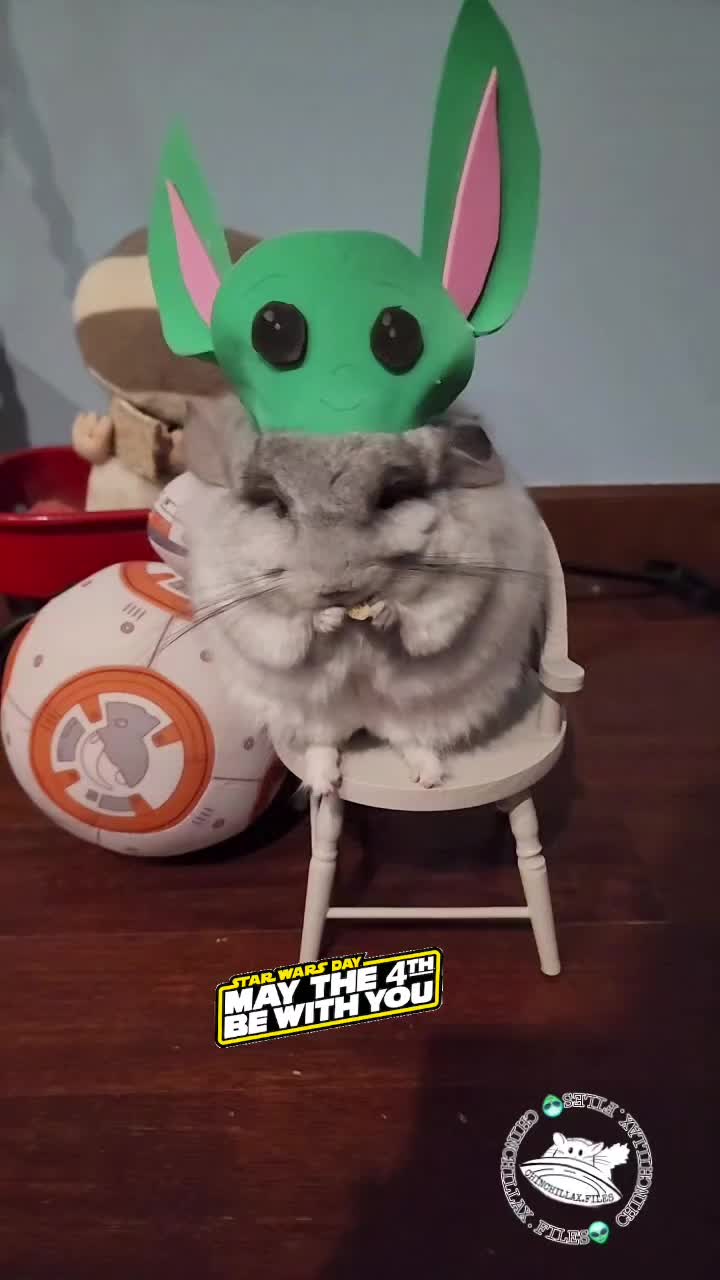 @Kuzco the Chinchilla