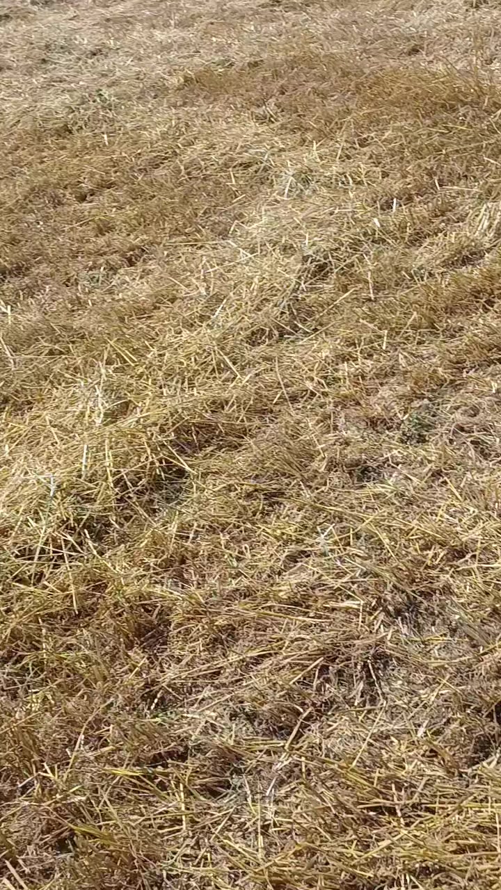@Deniz Akpınar