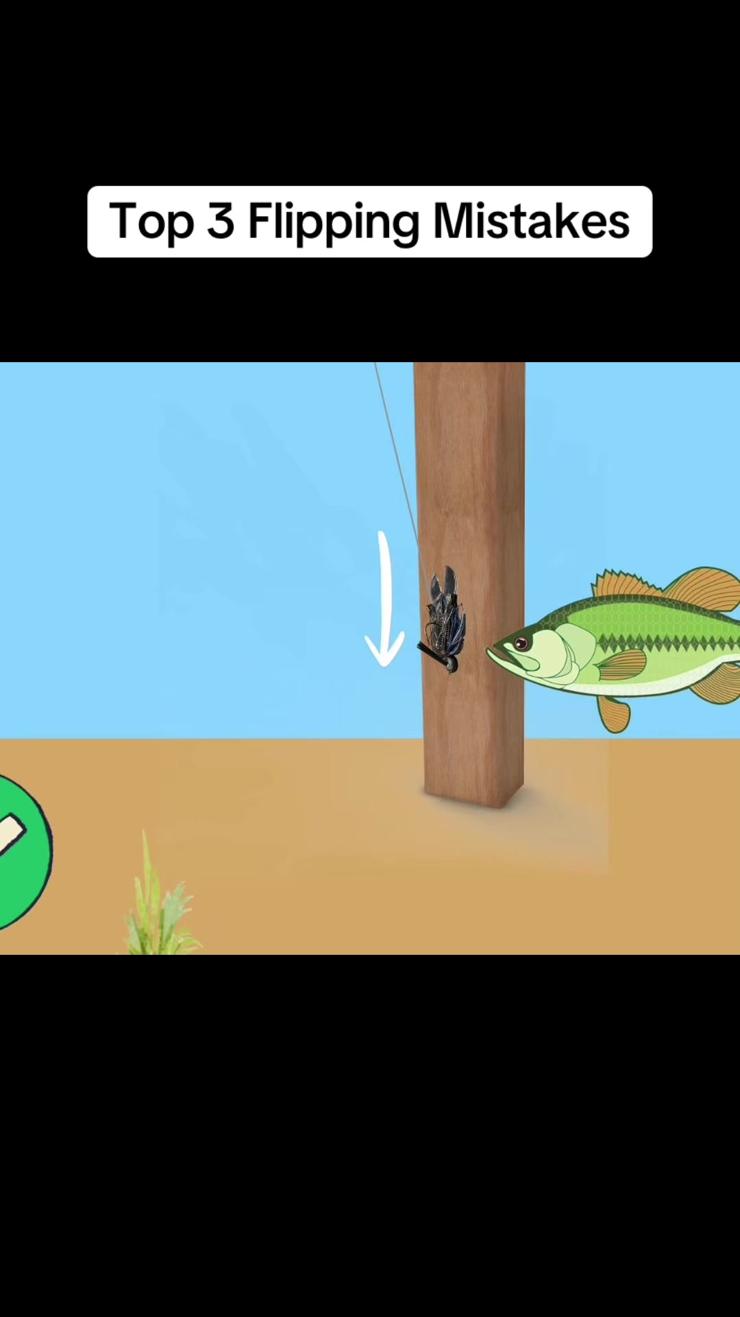 @Matt Fed Fishing