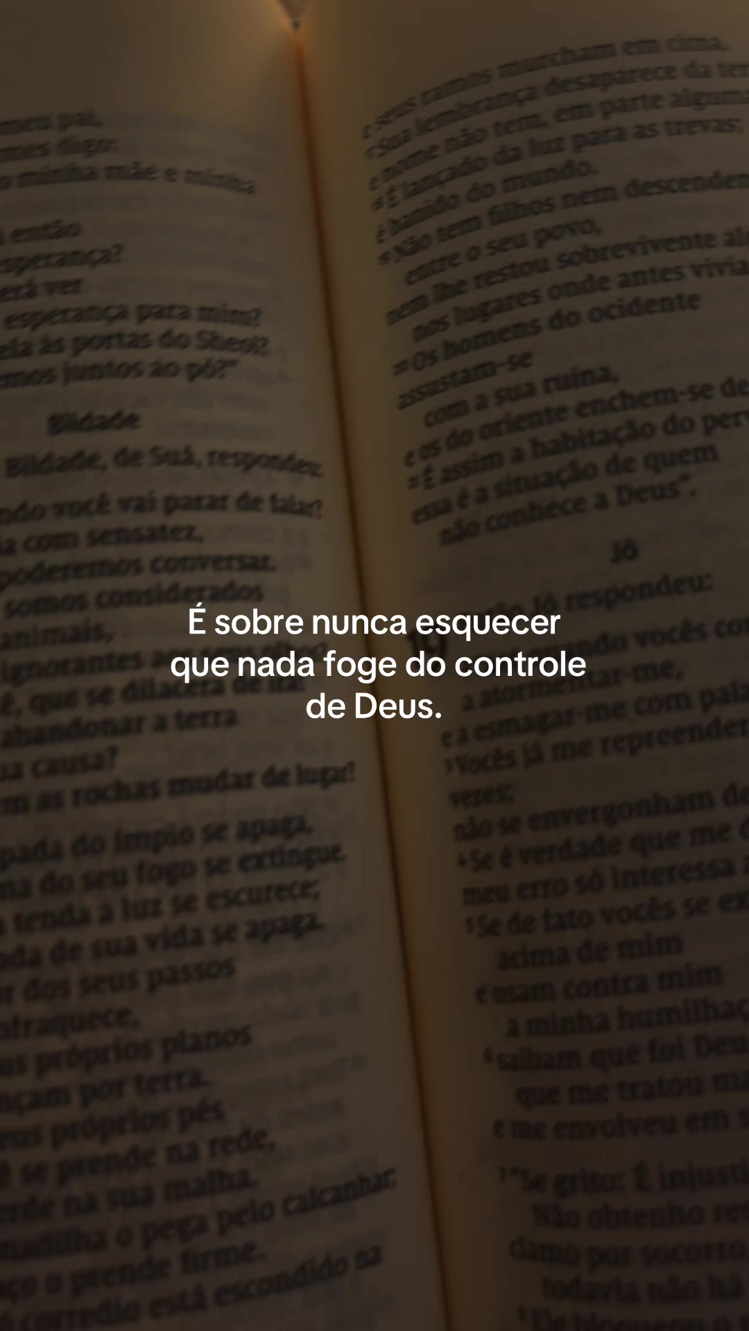 @Sil Rodry