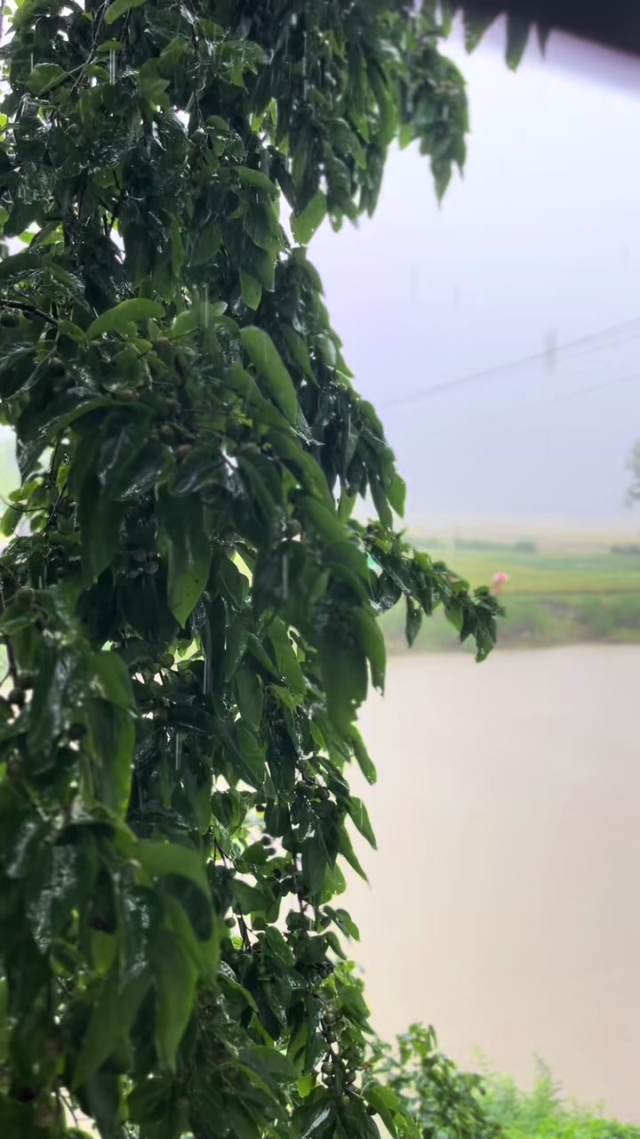 @ প্রকৃতি প্রেমিক সাইমন 🍃