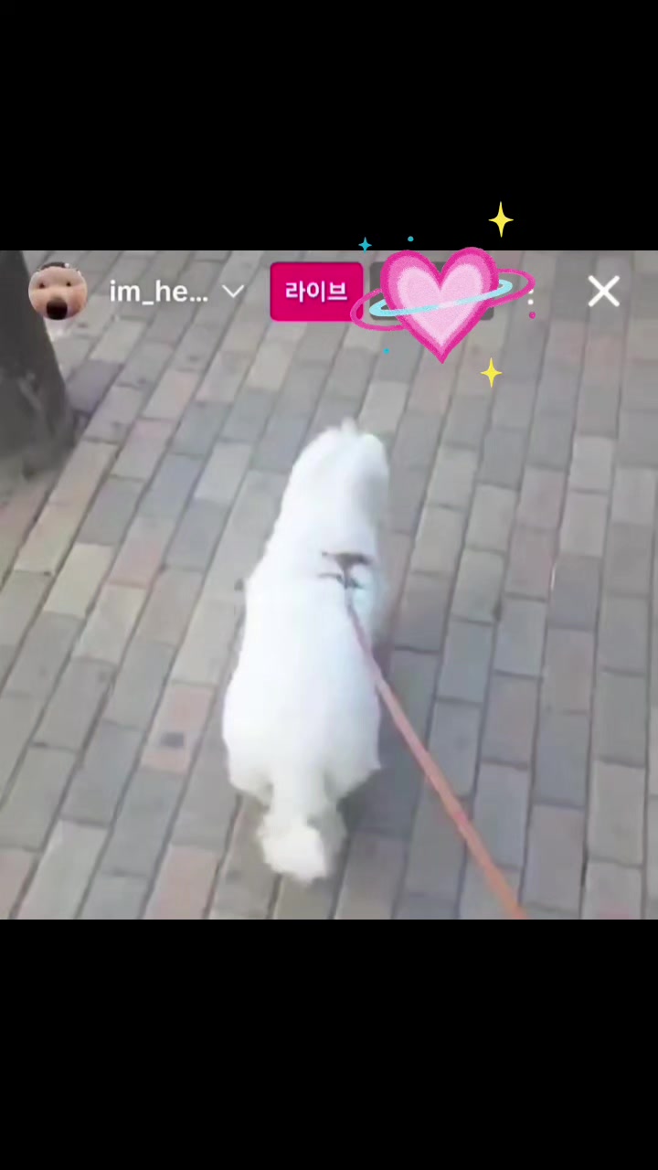 @트롯씬나