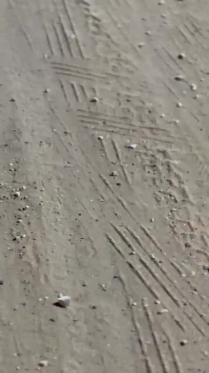 @مـالـك 🚸🐺