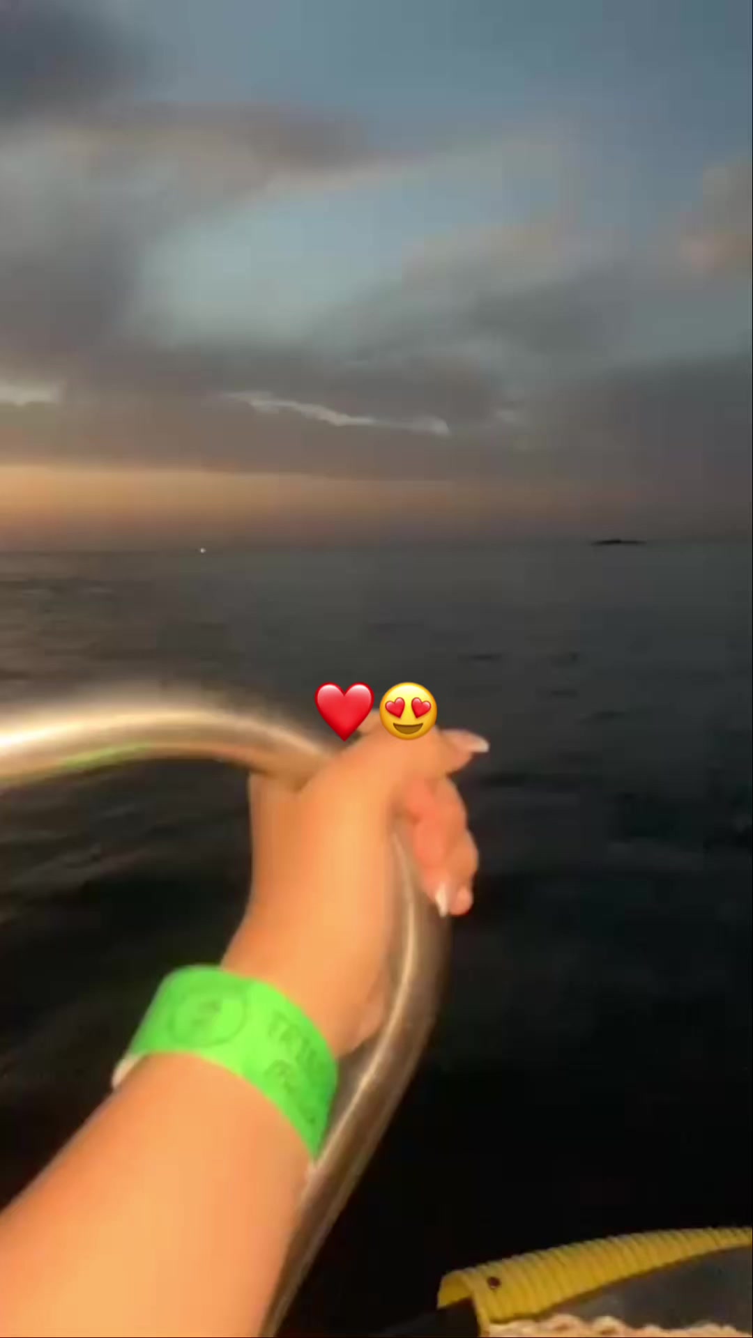 @Is🦢💗