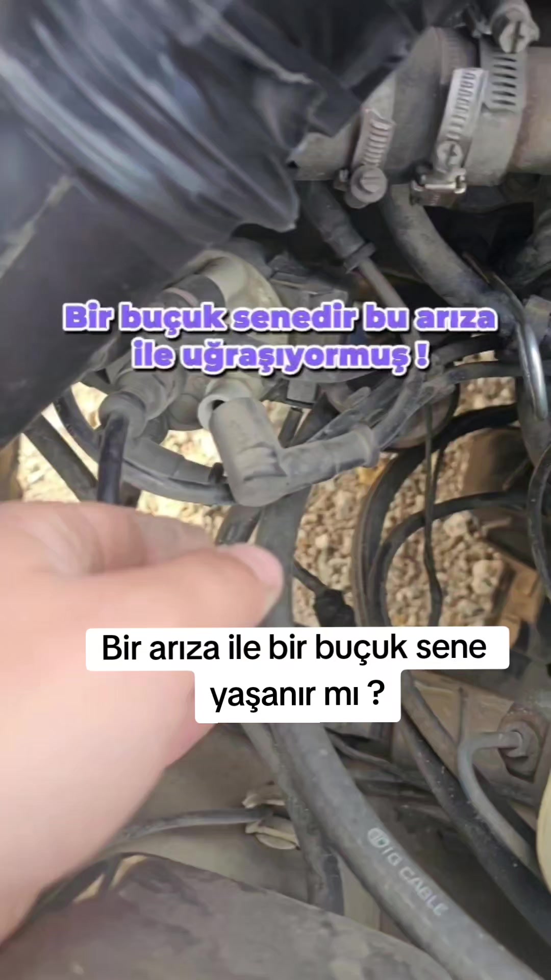 @FENOMEN GAZCI