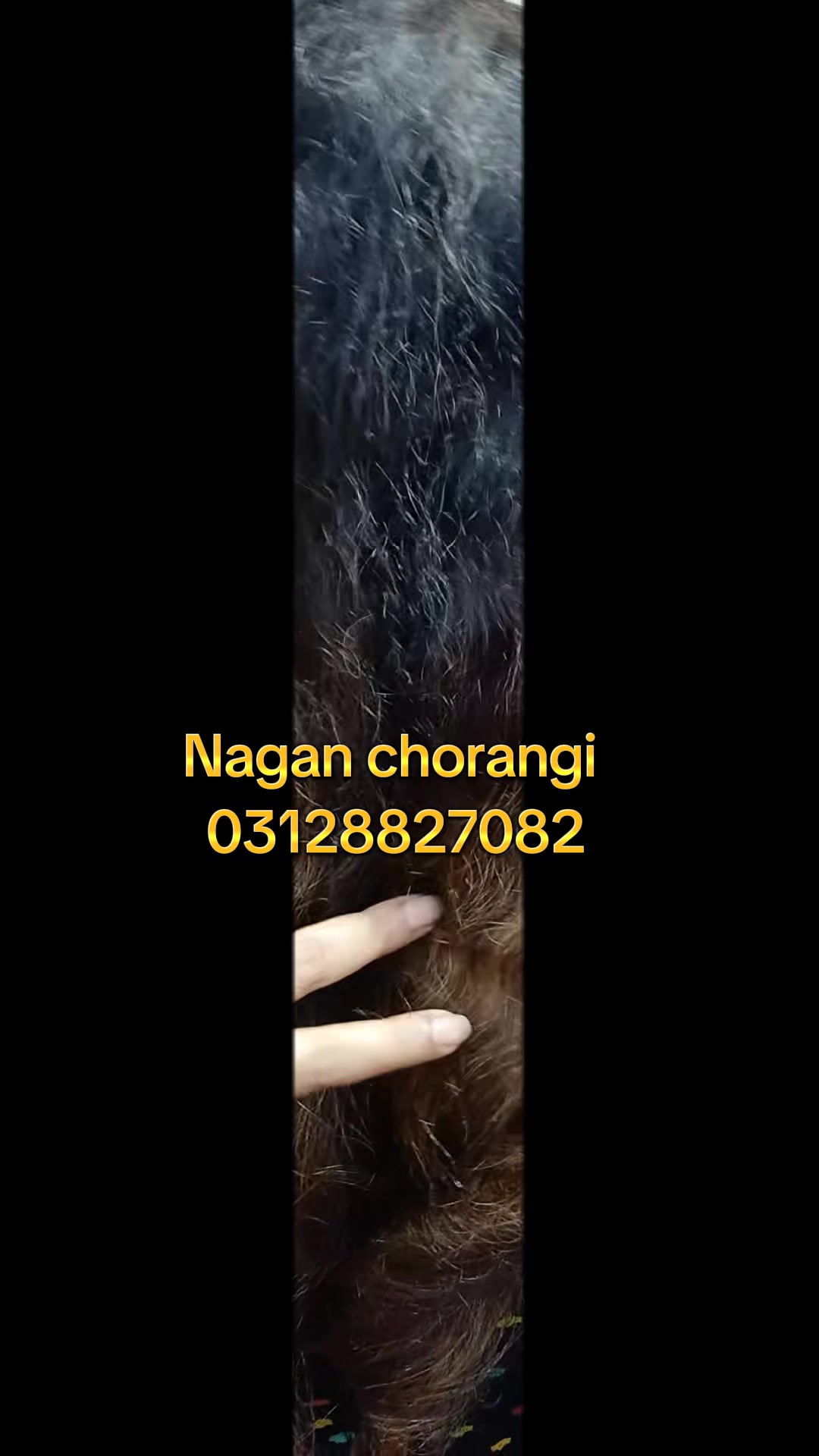@Araish Beauty Parlour