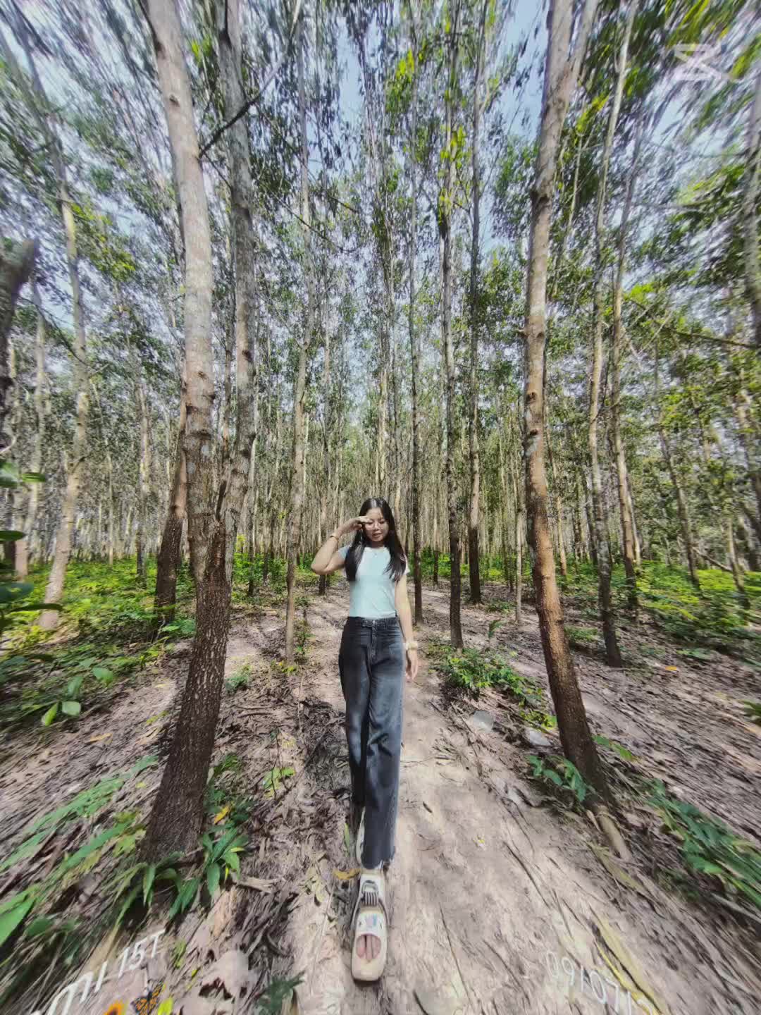 @🦋🌻🦋