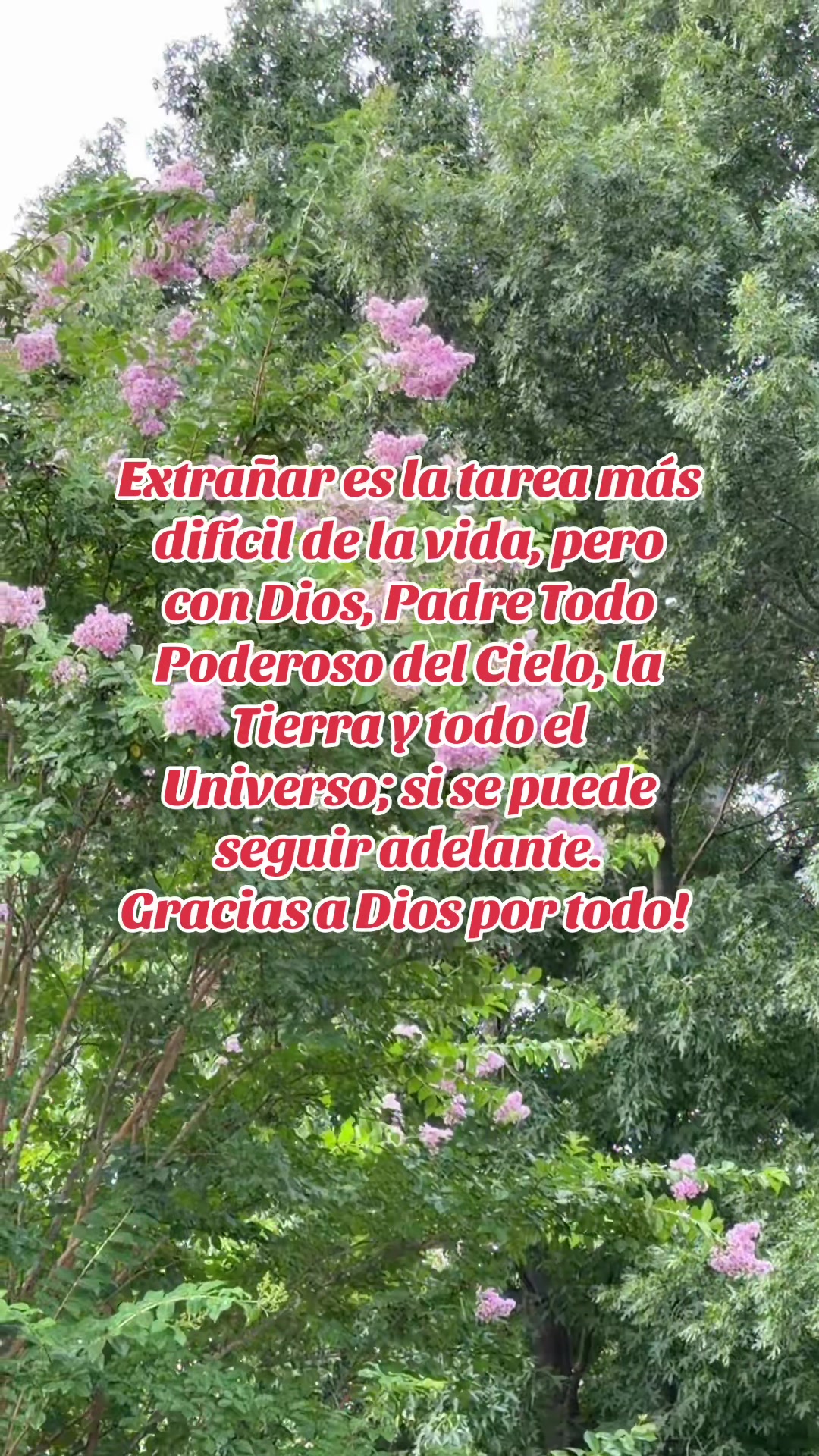 @👑🌸Reyna_Clau22🌸👑