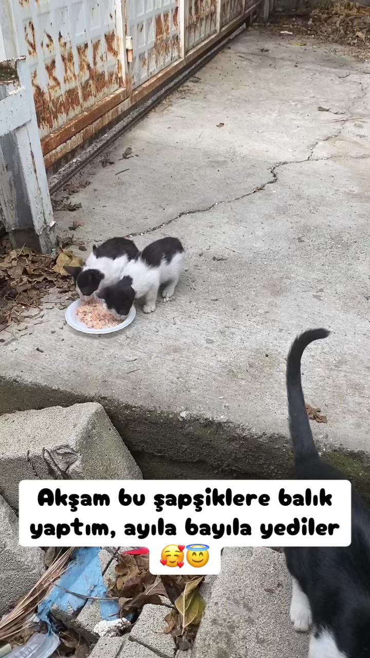 @Şapkalı Kadın