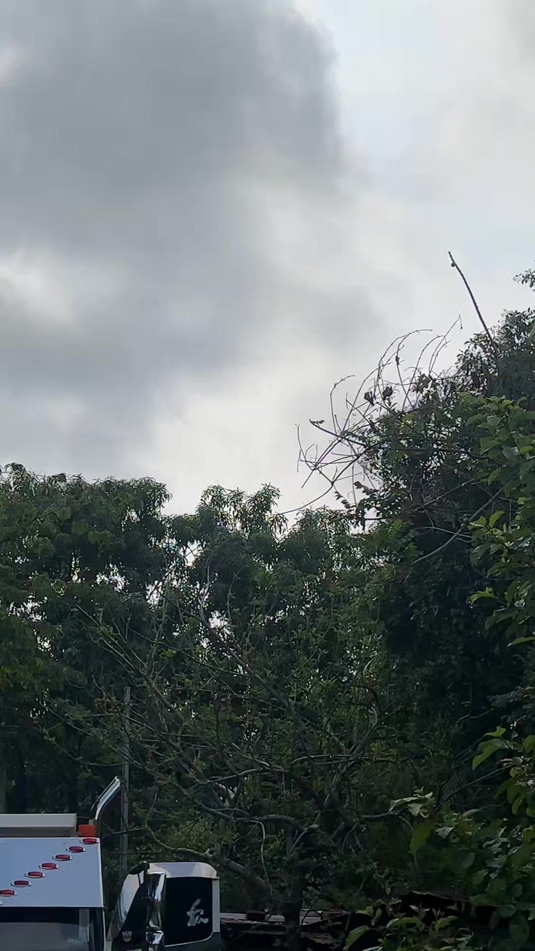 @Camiones de El Salvador🔥🇸🇻
